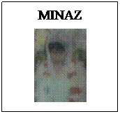 Text Box: MINAZ

 pic
